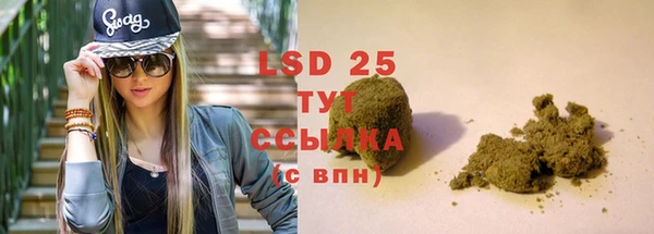 стаф Магас