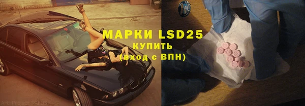 стаф Магас