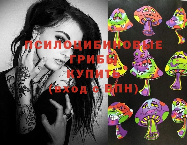 стаф Магас