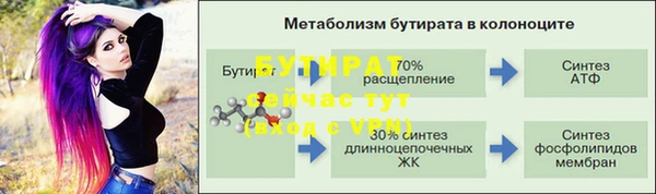 стаф Магас