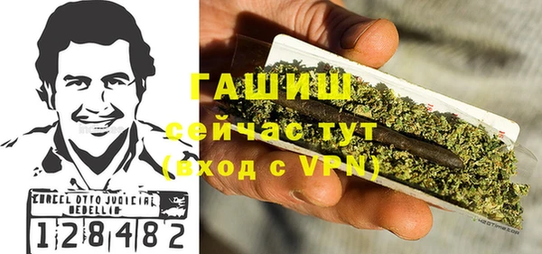 стаф Магас