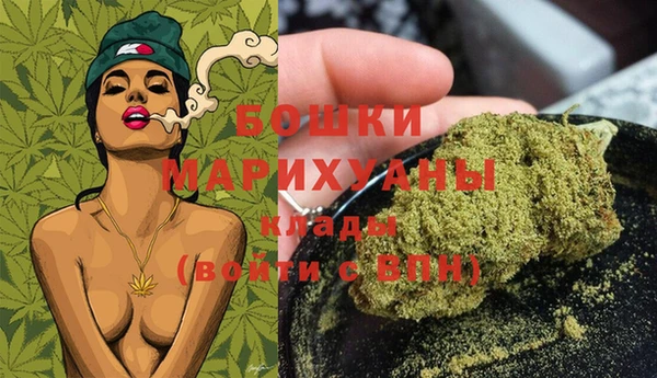 стаф Магас