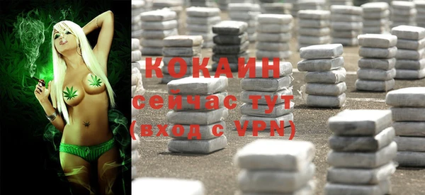 стаф Магас