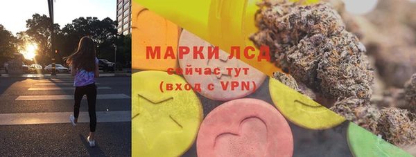 стаф Магас