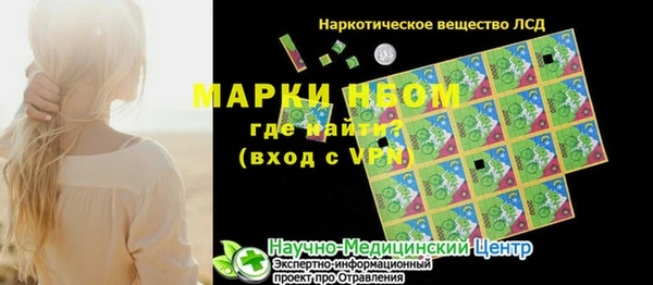 стаф Магас