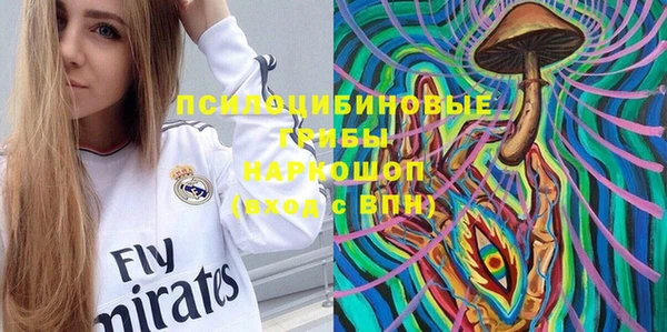 стаф Магас