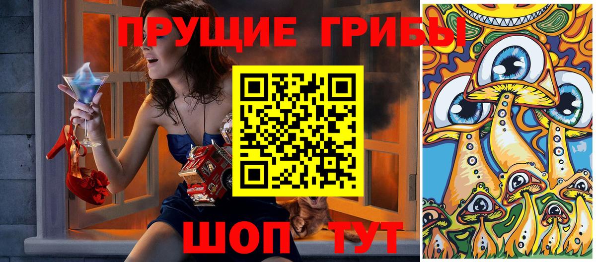 Псилоцибиновые грибы Cubensis Фрязино