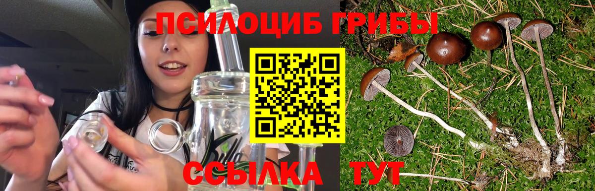 Псилоцибиновые грибы мухоморы Фрязино