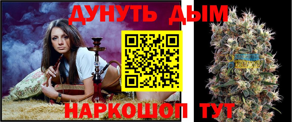 Бошки марихуана план  Фрязино  МАРИХУАНА планчик  Каннабис Amnesia 